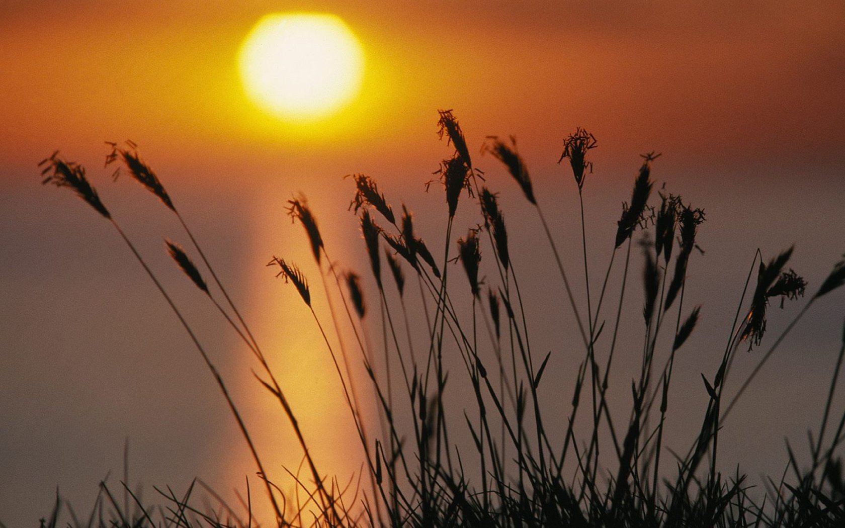 landscapes, Michigan, Lakes Wallpaper