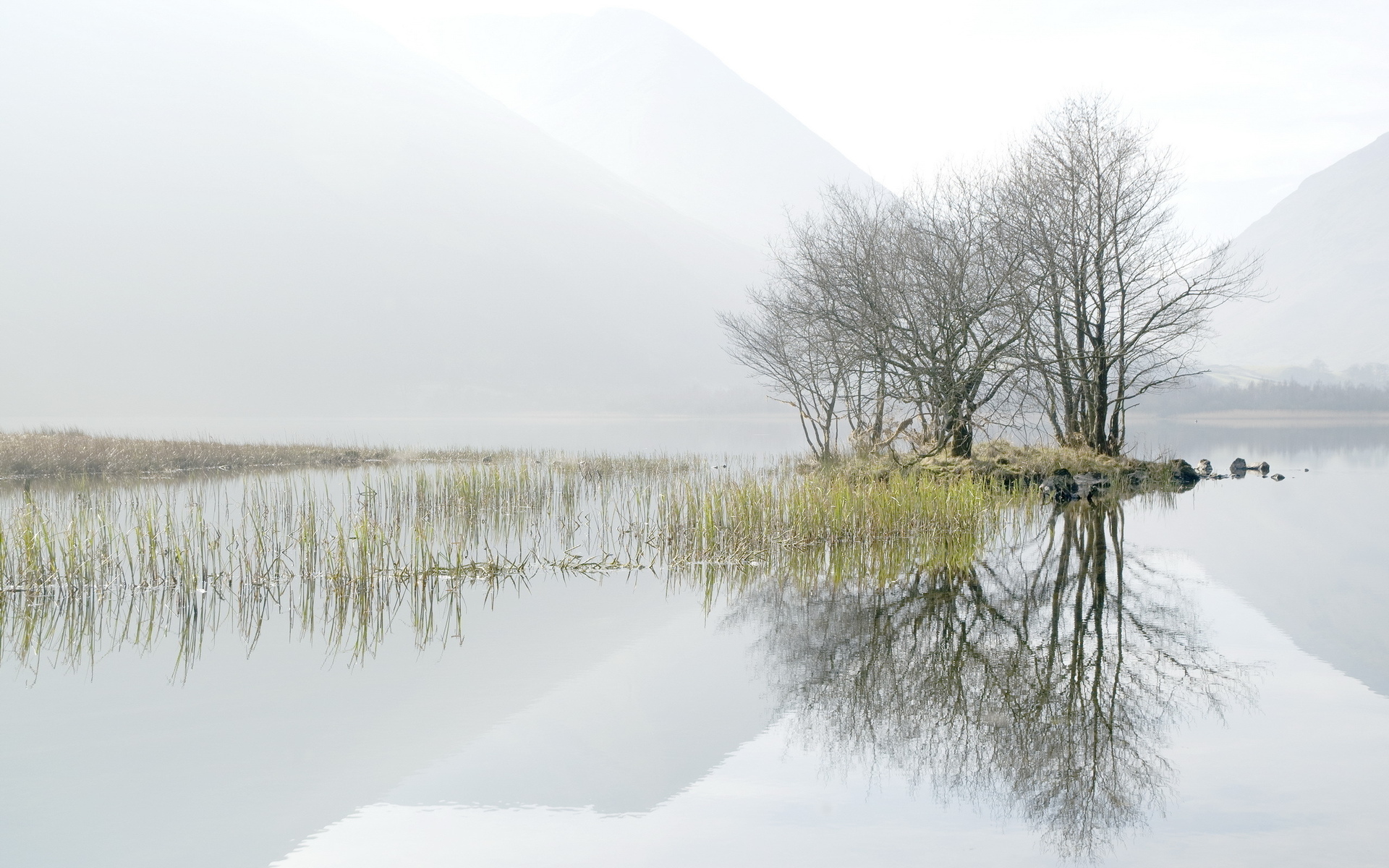 nature, Lakes, Water, Reflection, Reeds, Grass, Landscapes, Trees, Fog, Mist, Haze, Mountains, Sky, Clouds Wallpaper
