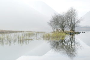 nature, Lakes, Water, Reflection, Reeds, Grass, Landscapes, Trees, Fog, Mist, Haze, Mountains, Sky, Clouds