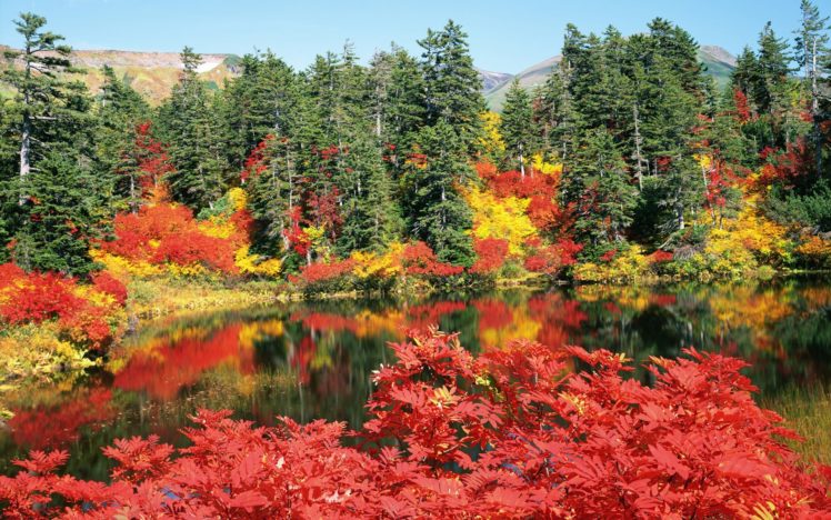 nature, Autumn HD Wallpaper Desktop Background