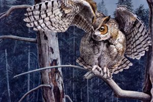 animals, Birds, Owls, Raptor, Predator, Wings, Wildlife, Feathers, Face, Eyes, Art, Artistic, Nature, Trees, Forests, Print, Paintings