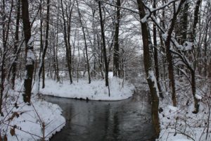 nature, Landscapes, Rivers, Streams, Lakes, Ponds, Trees, Forest, Winter, Smow, Seasons, Sky, Water, Cold