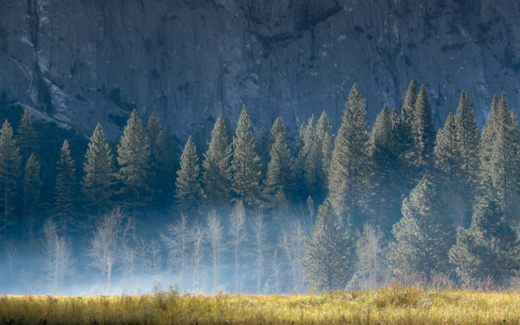 nature, Landscapes, Fields, Grass, Trees, Forest, Cliff, Mountains, Fog, Haze, Smoke, Mist HD Wallpaper Desktop Background