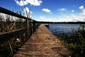 nature, Lakes, Reeds, Grass, Wood, Architecture, Pier, Dock, Fence, Rail, Water, Sky, Clouds