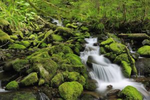 nature, Landscapes, Waterfall, Rocks, Moss, Rivers, Stream, Trees, Forest, Green, Leaves, Spring