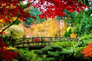 world, Architecture, Bridges, Asian, Oriental, Garden, Fall, Autumn, Colors, Seasons, Leaves, Stream, Plants, Rivers