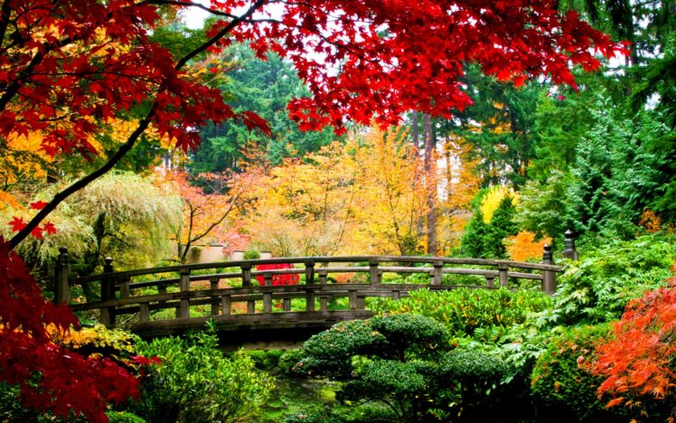 world, Architecture, Bridges, Asian, Oriental, Garden, Fall, Autumn, Colors, Seasons, Leaves, Stream, Plants, Rivers HD Wallpaper Desktop Background
