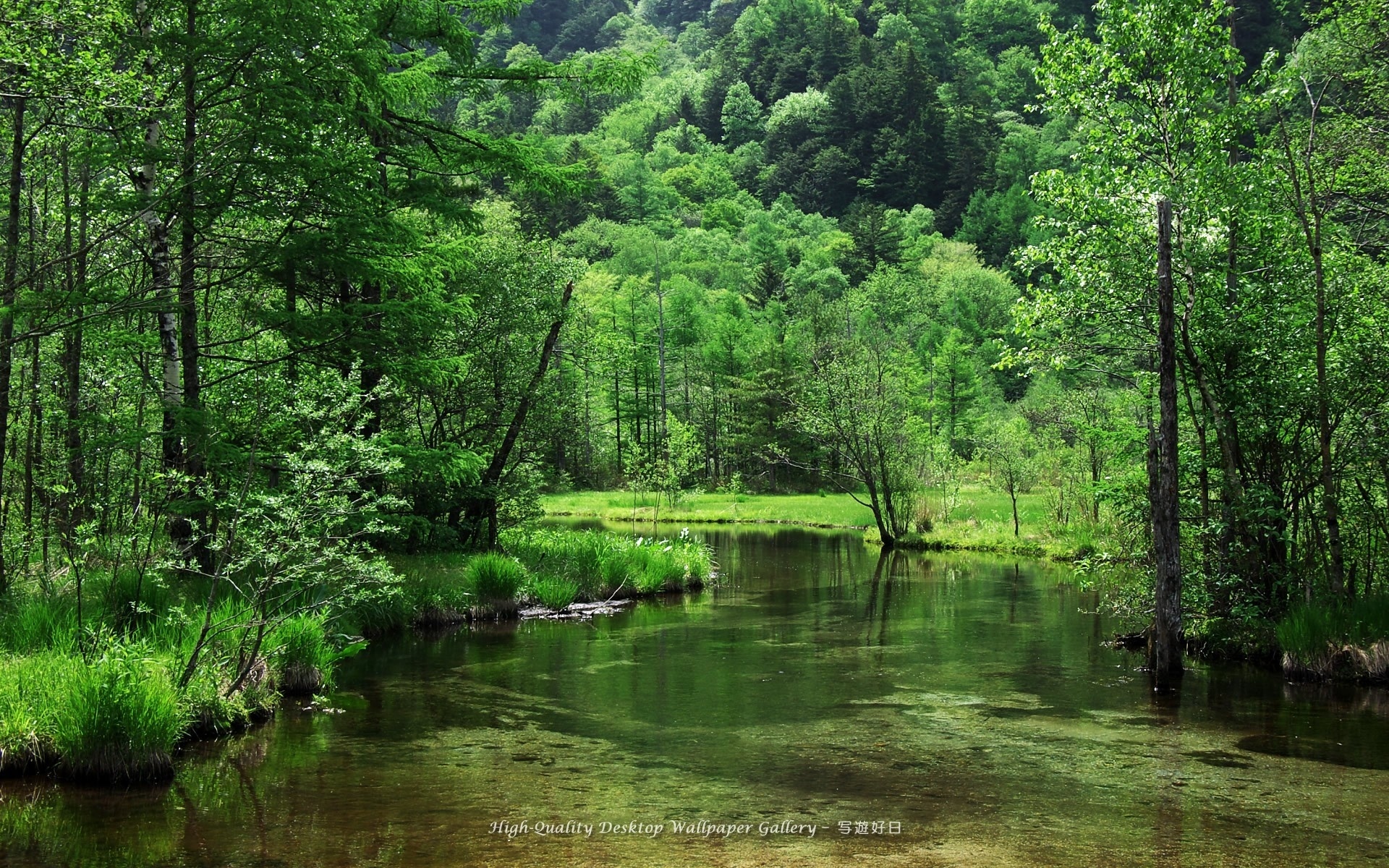 nature, Landscapes, Rivers, Stream, Water, Banks, Shore, Trees, Forest, Hills, Green, Spring, Seasons, Reflection Wallpaper