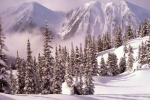 nature, Landscapes, Mountains, Trees, Forest, Fog, Haze, Mist, Cold, Winter, Snow, Seasons, White, Bright