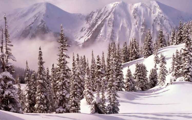 nature, Landscapes, Mountains, Trees, Forest, Fog, Haze, Mist, Cold, Winter, Snow, Seasons, White, Bright HD Wallpaper Desktop Background