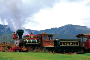 vehicles, Trains, Engine, Locomotive, Railroad, Tracks, Cars, Steam, Color