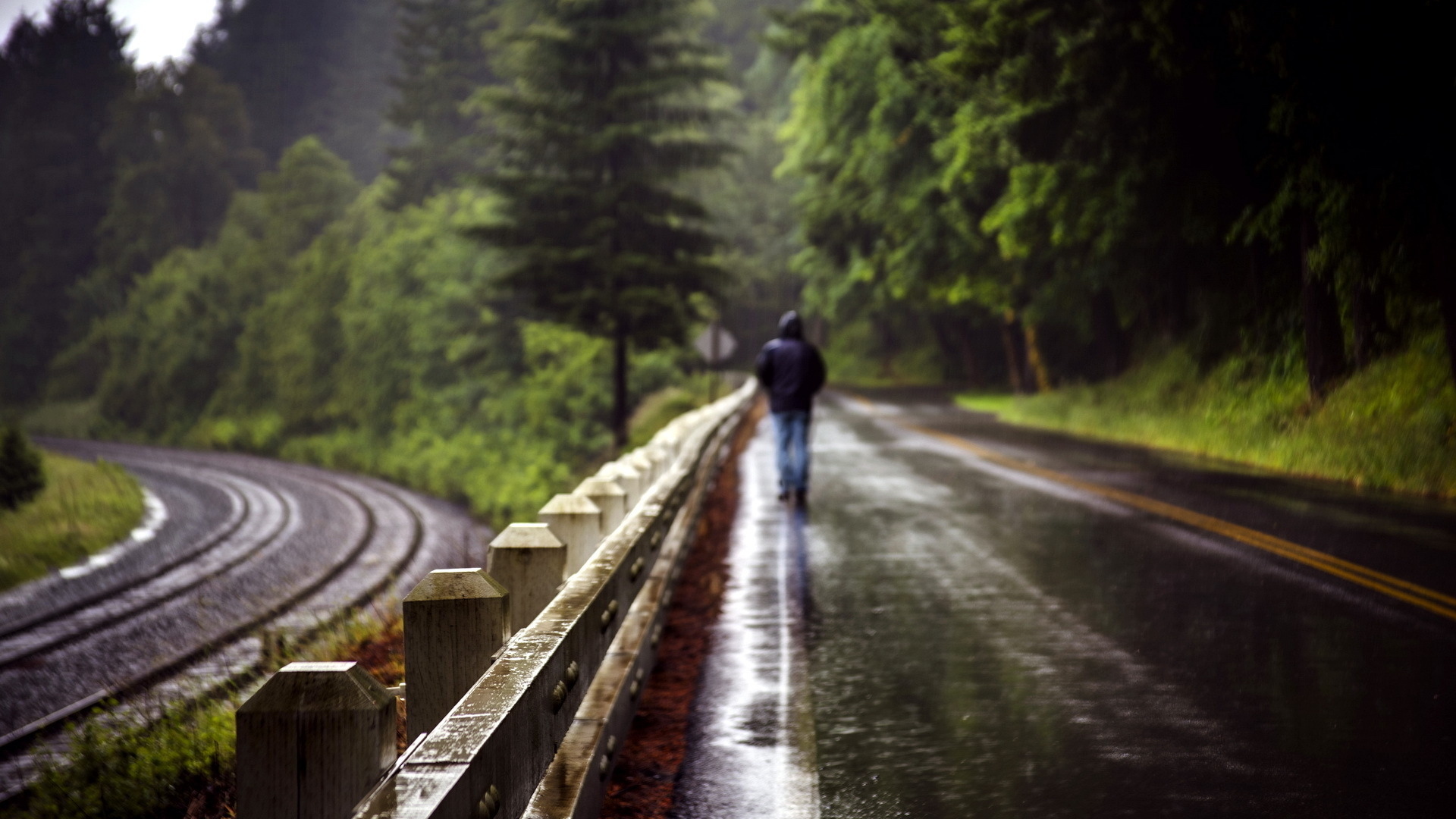 world, Roads, Railroad, Tracks, Fence, People, Men, Males, Mood, Alone, Nature, Landscapes, Trees, Forest, Storm, Rain, Wet Wallpaper