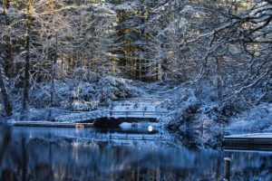 nature, Landscapes, Trees, Forest, Lakes, Water, Reflection, Winter, Snow, Season, Dock, Pier, Cold