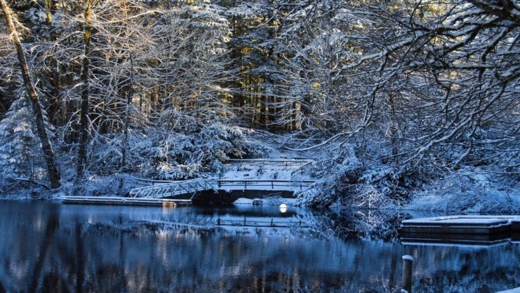 nature, Landscapes, Trees, Forest, Lakes, Water, Reflection, Winter ...