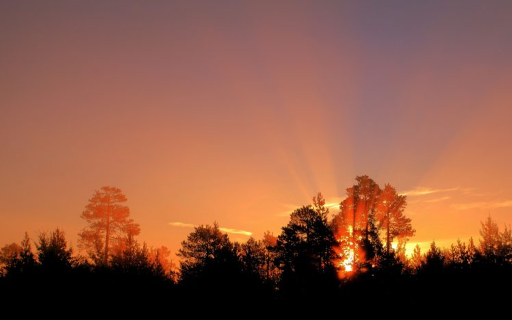 nature, Sunrise, Sunset, Color, Sunlight, Sunbeam, Trees, Forest, Sky, Silhouette HD Wallpaper Desktop Background