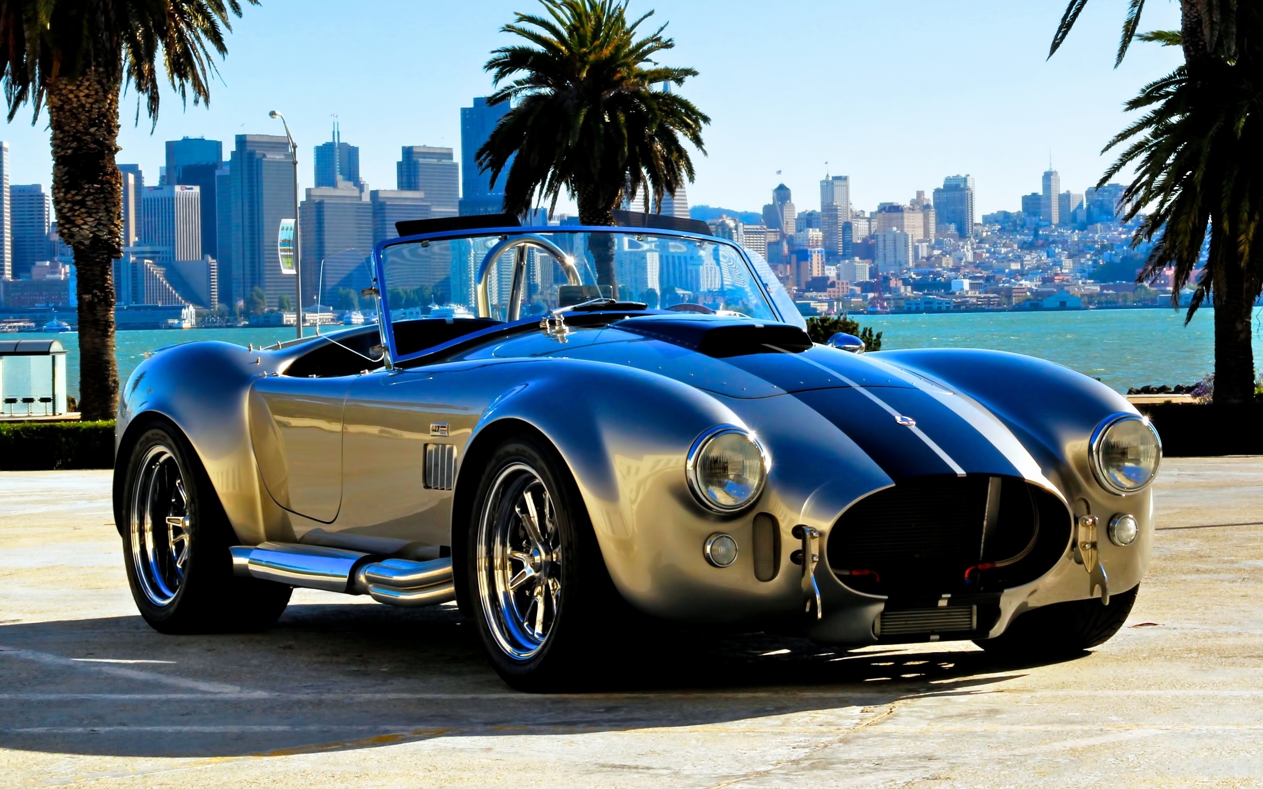 shelby, Cobra, Vehicles, Cars, Auto, Muscle, Race, Racing, Silver, Chrome, Wheels, Hot, Rod Wallpaper