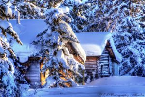 world, Architecture, Buildings, Houses, Cabins, Nature, Trees, Forest, Resort, Winter, Snow, Seasons, Hdr, White, Sunlight