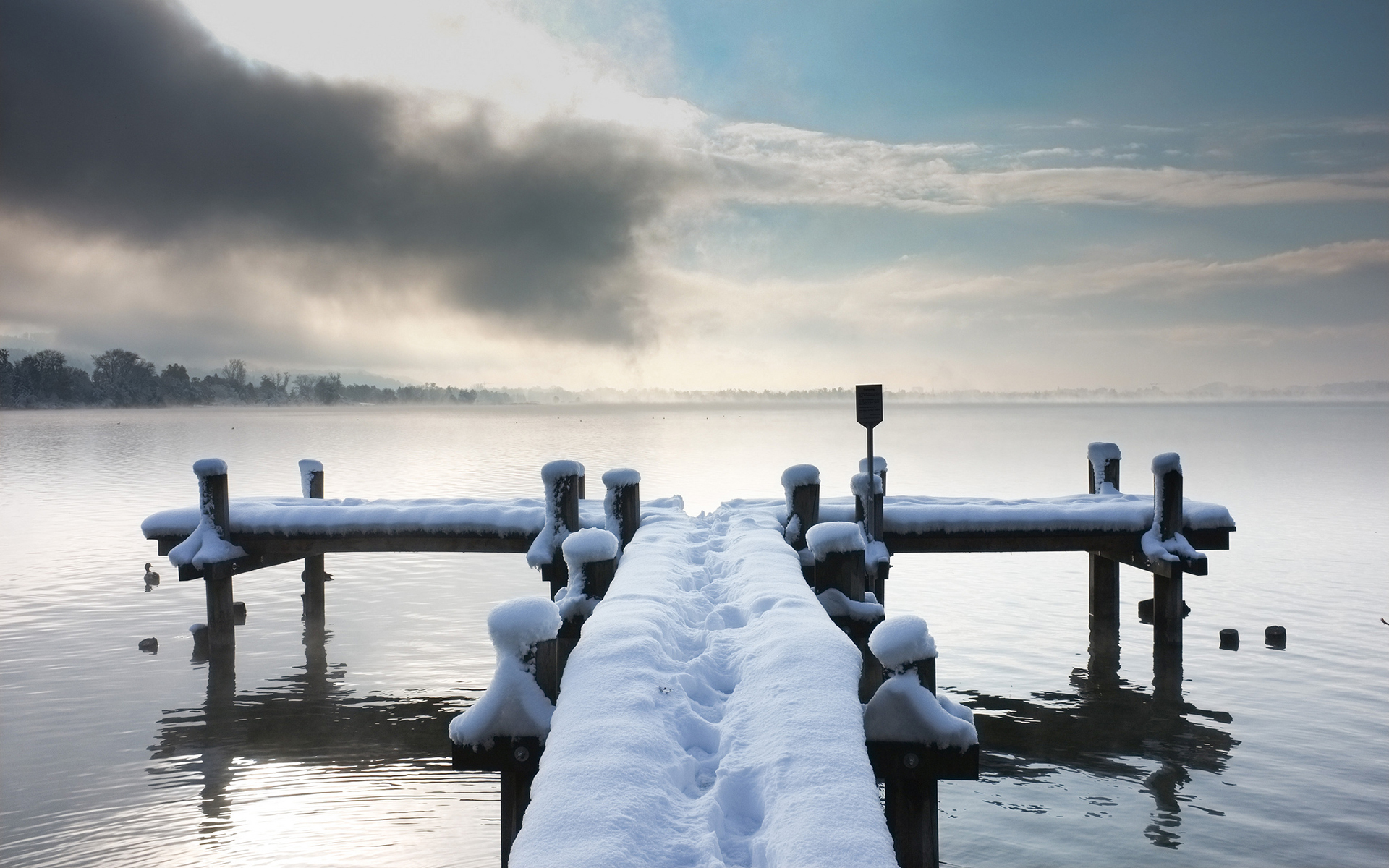 nature, Lakes, Water, Reflection, Dock, Pier, Winter, Snow, Seasons, Cold, Animals, Birds, Duckes, Sky, Clouds, Shore, Coast, Trees Wallpaper
