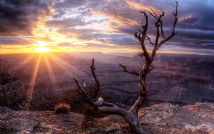 sunrise, At, The, Grand, Canyon HD Wallpaper Desktop Background