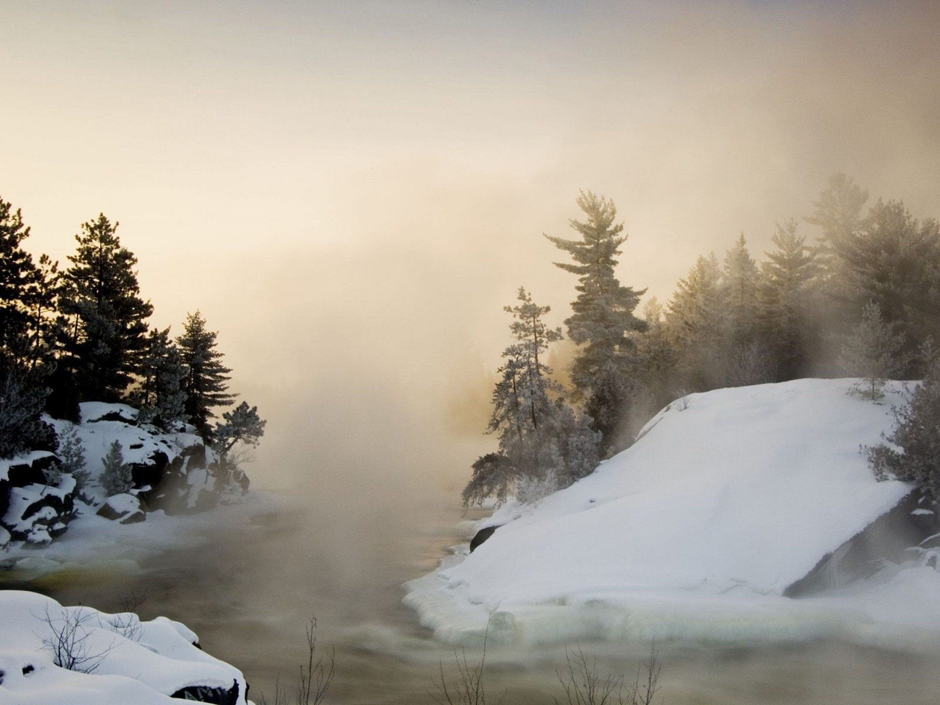 nature Wallpaper