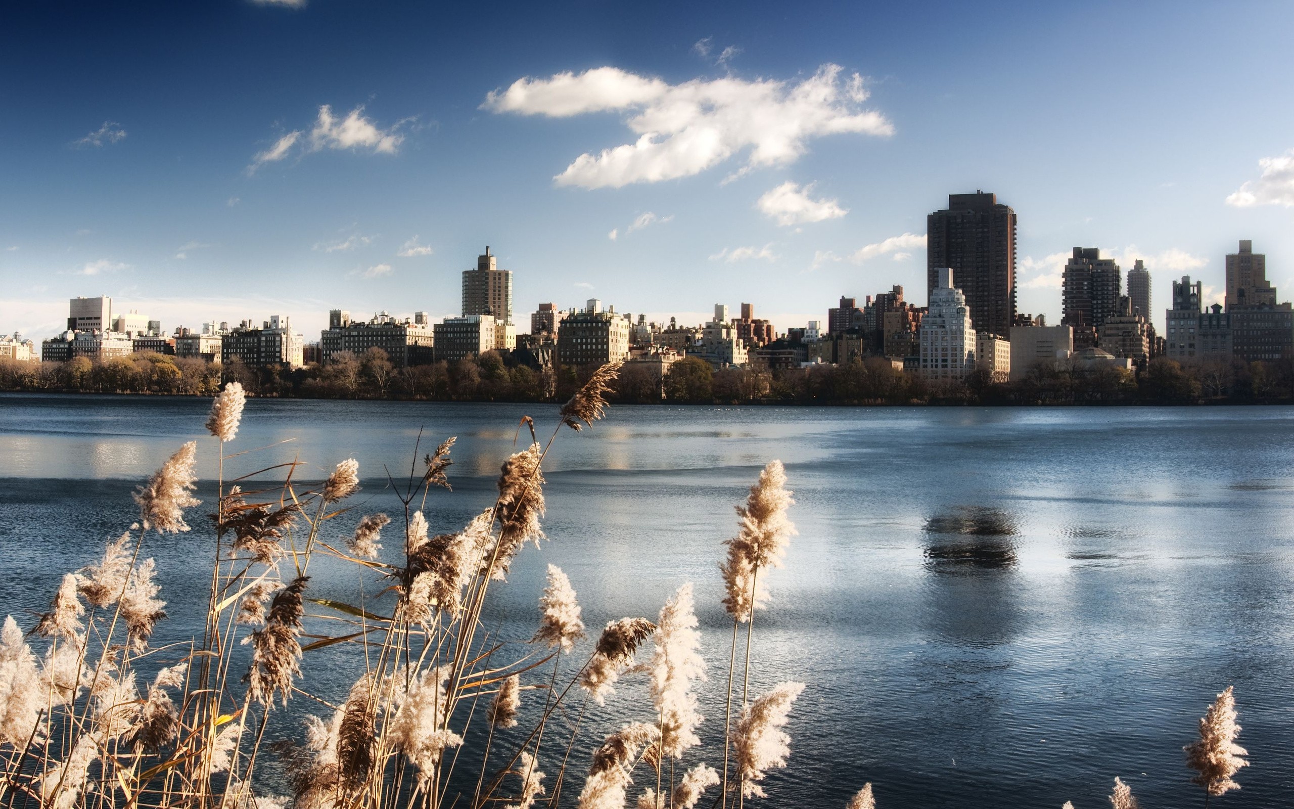 new, York, Central, Park, Lake Wallpaper