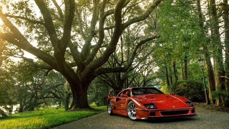 trees, Cars, Ferrari, Ferrari, F40 HD Wallpaper Desktop Background