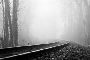 vehicles, Train, Tracks, Railroad, Black, White, Trees, Forest, Fog, Haze