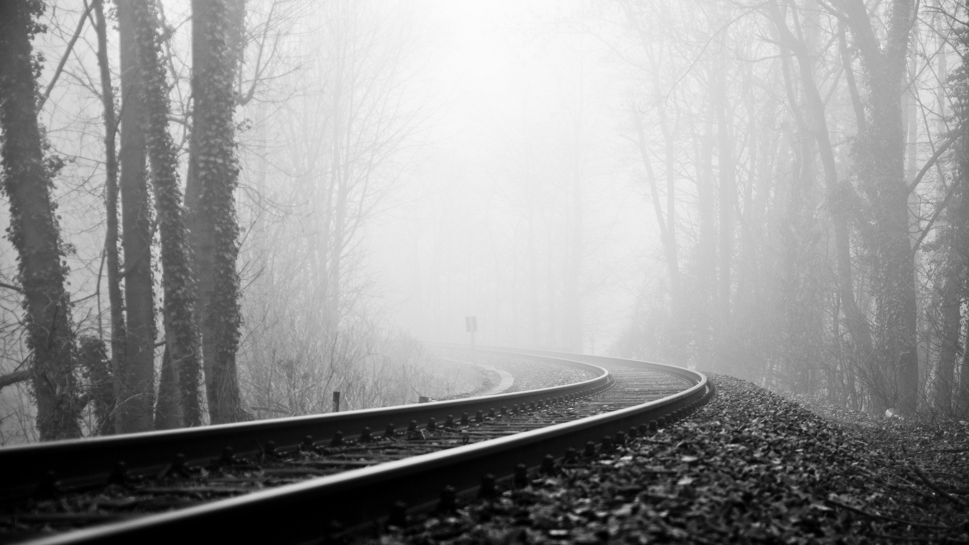 vehicles, Train, Tracks, Railroad, Black, White, Trees, Forest, Fog, Haze Wallpaper