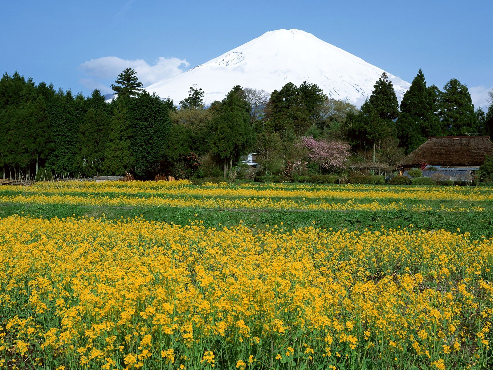 japan, Mountains, Landscapes, Nature Wallpaper