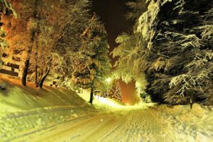 nature, Landscapes, Roads, Street, Night, Light, Trees, Winter, Snow, Seasons, Snowing, Flakes, Snowfall