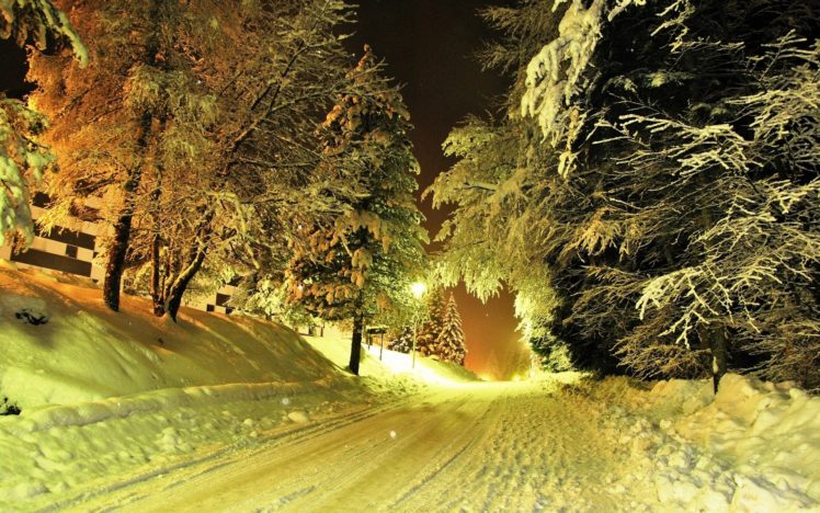 nature, Landscapes, Roads, Street, Night, Light, Trees, Winter, Snow, Seasons, Snowing, Flakes, Snowfall HD Wallpaper Desktop Background