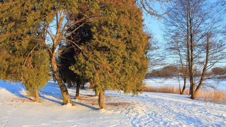 landscapes, Nature, Winter, Trees, Hdr, Photography HD Wallpaper Desktop Background
