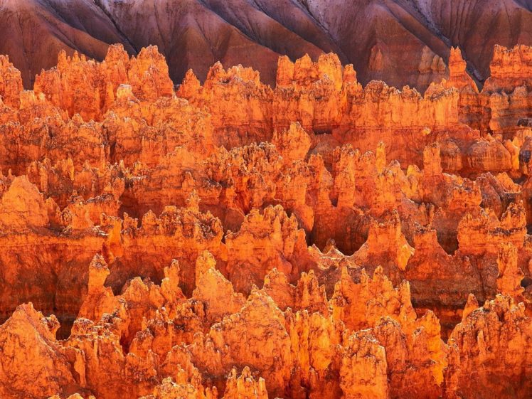 landscapes, Nature, Bryce, Canyon, Utah, National, Park HD Wallpaper Desktop Background