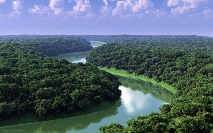 landscapes, Nature, Forests, Rivers HD Wallpaper Desktop Background