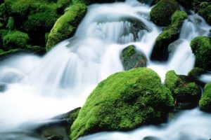 rocks, Moss, Oregon, Mount, Jefferson, Waterfalls