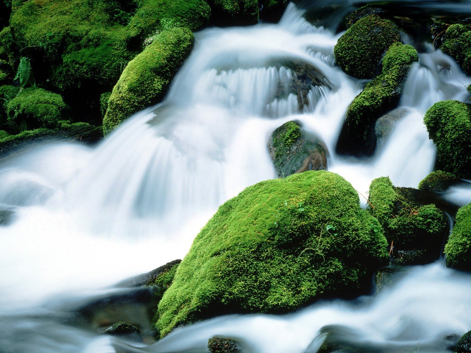 rocks, Moss, Oregon, Mount, Jefferson, Waterfalls Wallpaper