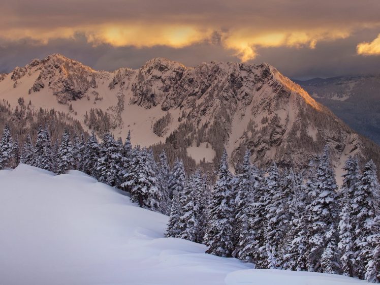 landscapes, Winter, Trees, Hdr, Photography HD Wallpaper Desktop Background