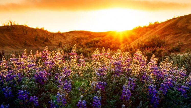 sunset, Landscapes, Nature HD Wallpaper Desktop Background