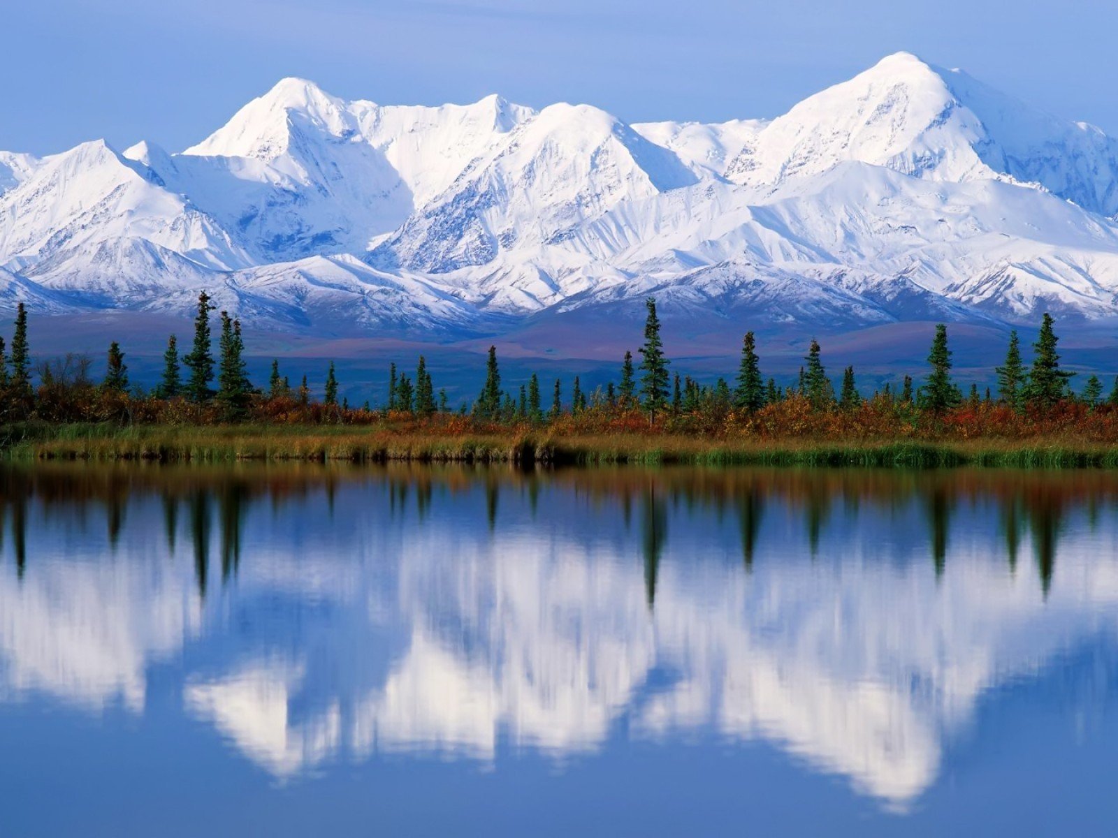 nature Wallpaper