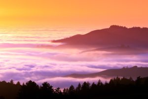 landscapes, Trees, Hills, Fog, Mist, California