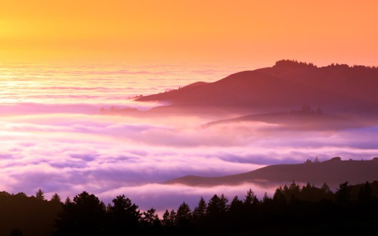 landscapes, Trees, Hills, Fog, Mist, California HD Wallpaper Desktop Background