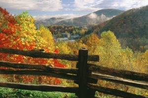 autumn, Multicolor, Tennessee