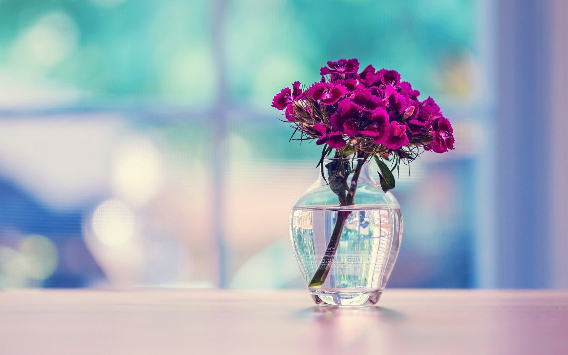 water, Flowers, Glass, Tables Wallpaper