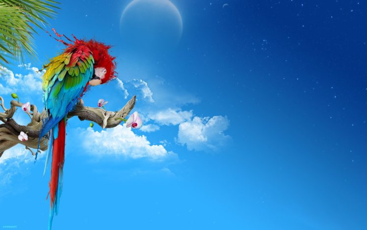 multicolor, Moon, Parrots, Skyscapes, Scarlet, Macaws HD Wallpaper Desktop Background