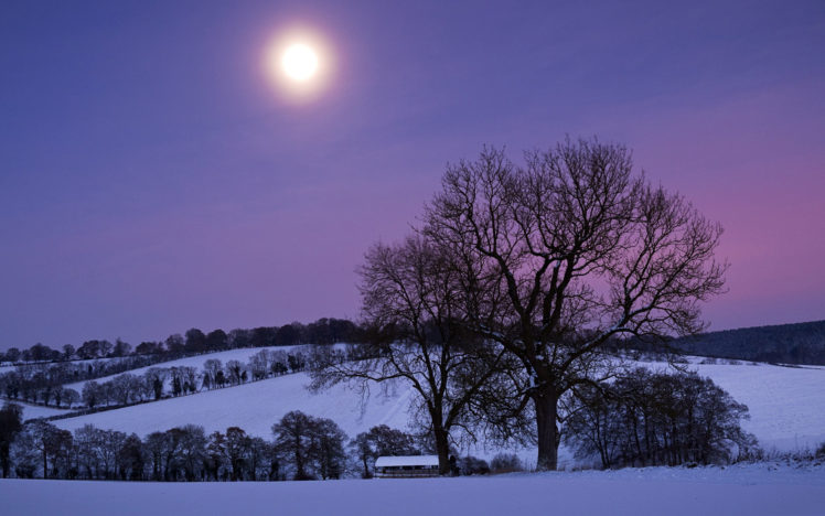 nature, Landscapes, Trees, Farm, Pasture, Fields, Hills, Winter, Snow, Seasons, Night, Moonlight, Light, Sunset, Sunrise HD Wallpaper Desktop Background