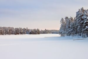 landscape, In, Snow