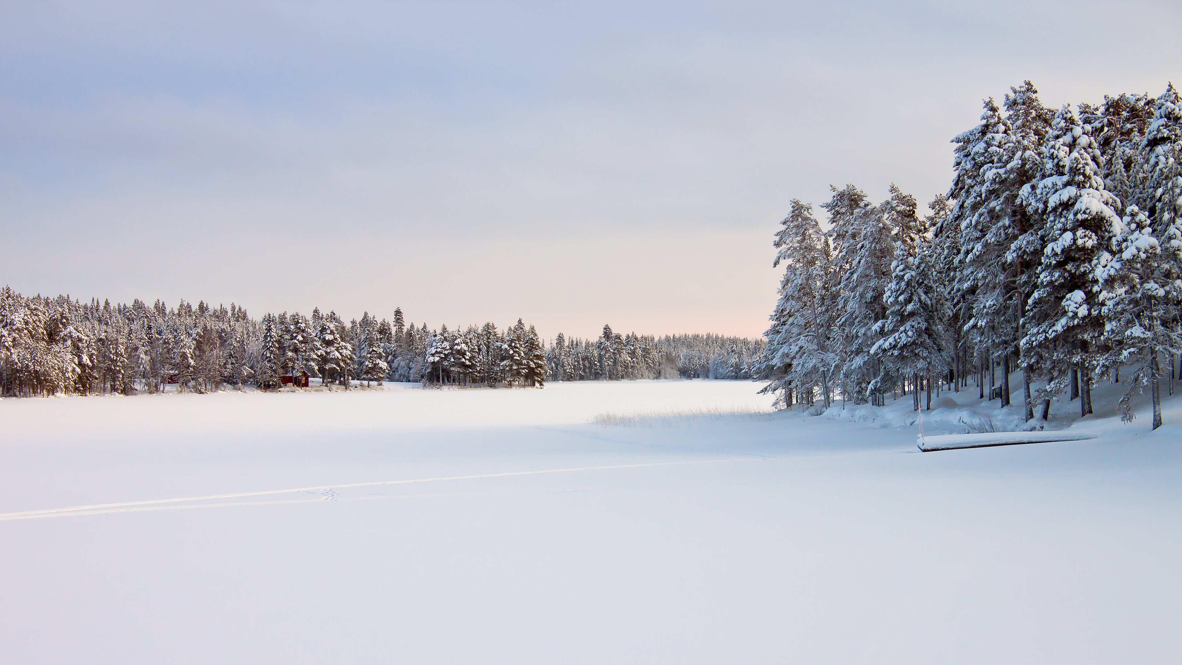 landscape, In, Snow Wallpaper