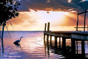 nature, Sunset, Surise, Lakes, Reflection, Dock, Animals, Birds, Crane