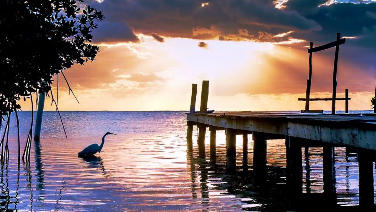 nature, Sunset, Surise, Lakes, Reflection, Dock, Animals, Birds, Crane HD Wallpaper Desktop Background