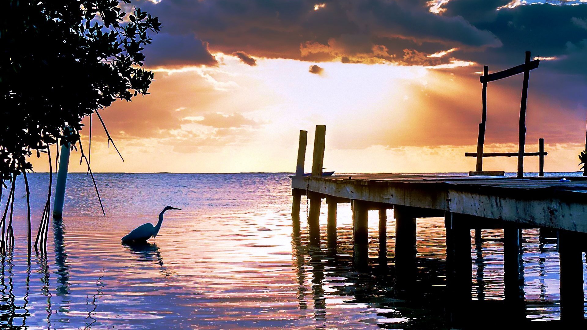 nature, Sunset, Surise, Lakes, Reflection, Dock, Animals, Birds, Crane Wallpaper
